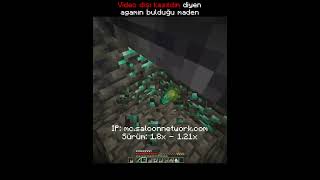 Video Dışı Kasıldım Diyen Agamın Bulduğu Maden...