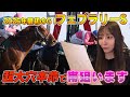 	【フェブラリーS 2026】超大穴を本命にしました。覚悟の一点勝負。【競馬 予想】