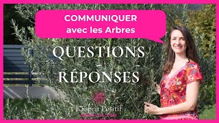 Comment se connecter à un Arbre  QUESTIONS / RÉPONSES «Comment contacter les énergies d'un arbre»