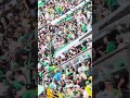 FÚTBOL COLOMBIANO: DESMANES ENTRE HINCHAS DE ATLÉTICO NACIONAL EN EL CAMPÍN vs FORTALEZA CEIF 🕊⚽️🇨🇴