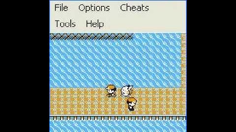 What NOT To Do When using Walk Through walls code in pokemon yellow