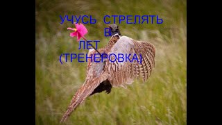 учусь стрелять в лет