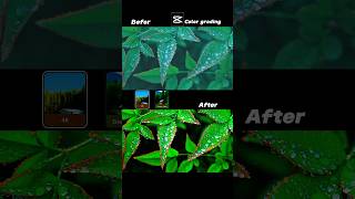 🔥 CapCut Color Grading Tutorial | Cinematic Look in Mobile Editing #babifreitas