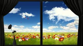 window_0918.mp4