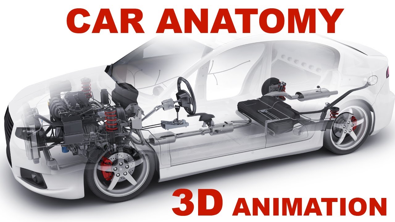 Ar anatomy The Basics  How cars work 3D animation