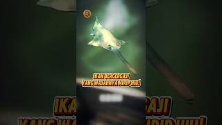 Ikan Bergergaji yang Wajahnya Mirip Hiu! #Shorts #FaktaHewan #FaktaLaut #IkanGergaji