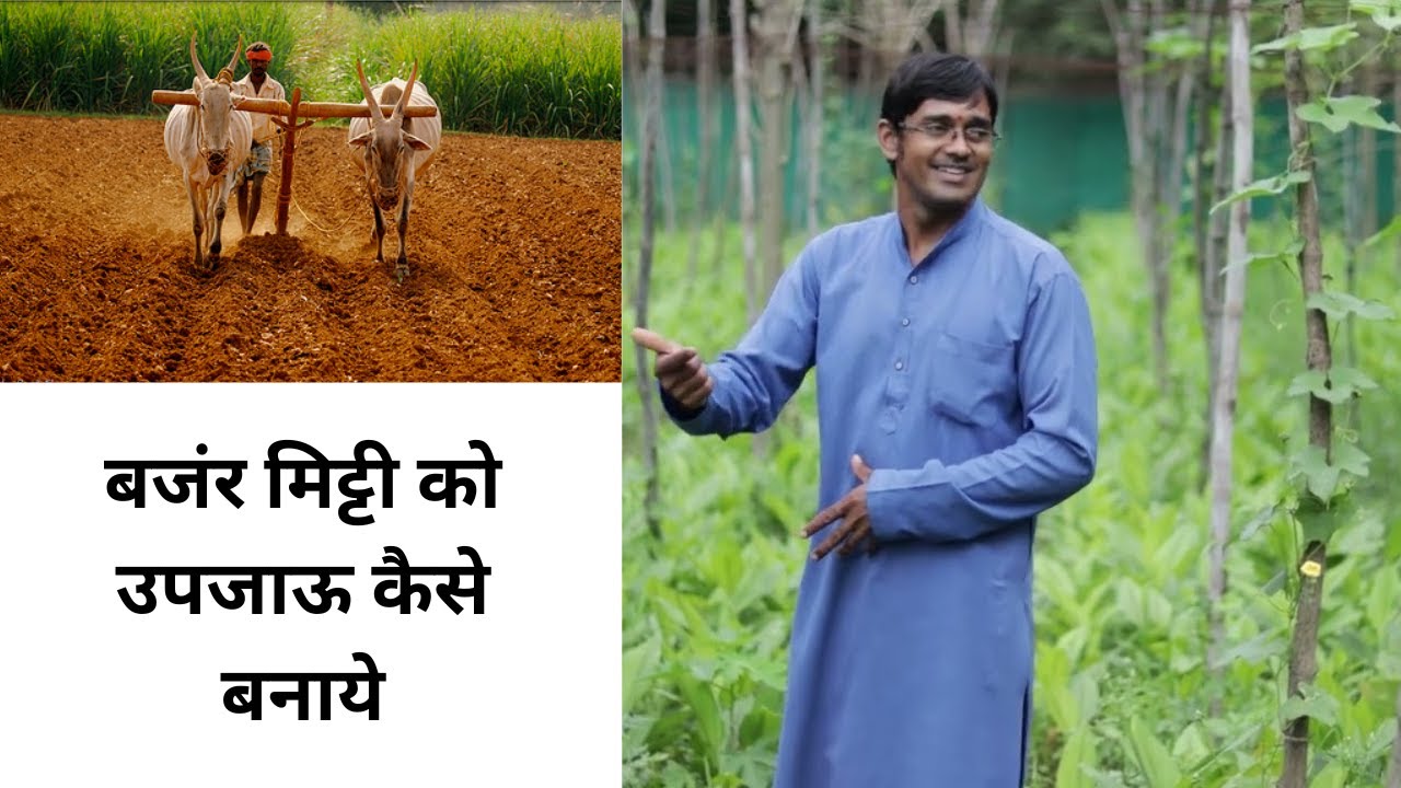       How to make soil fertile  akash chourasiya
