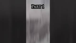 The Echoes Of Elizabeth Street - Part 1