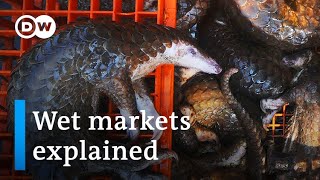 Will The Coronavirus Pandemic Force China To Close Wildlife Markets? Dw News