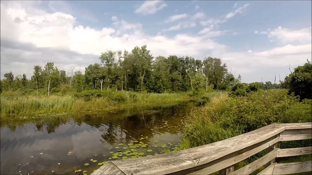 Long Nature Park, Walled MI [HD] 12 min YouTube