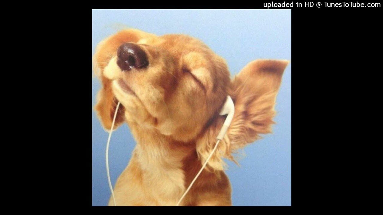 [free for profit] xaviersobased + kashpaint + hoodtrap type beat 