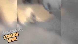 Combo vine 634#
