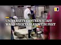 University canteen staff in China wash vegetables with feet