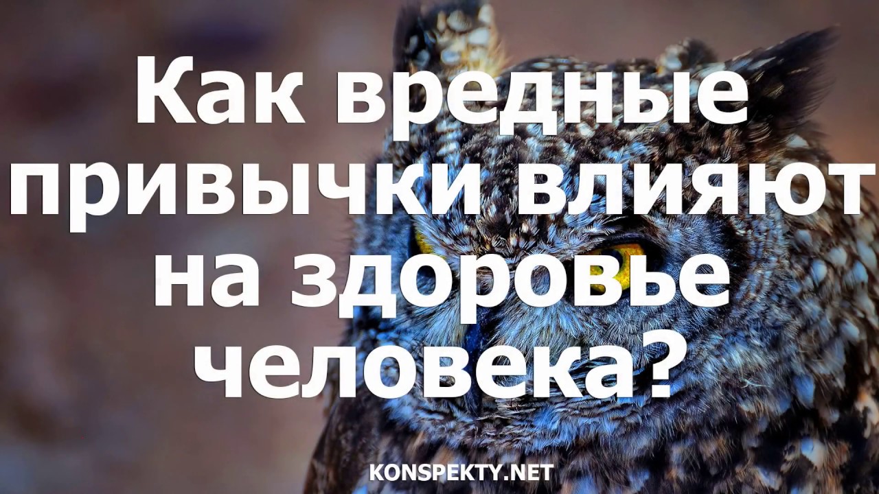 Как вредные привычки влияют на здоровье человека?