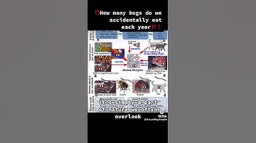 Hold up 🛑 We accidentally eat how many bugs a year❓❓        😳😳😳😳 #gross