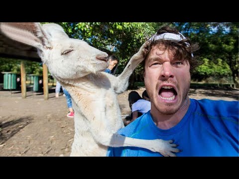 Can't Stop Laughing with 😆 Funny Animals and Human