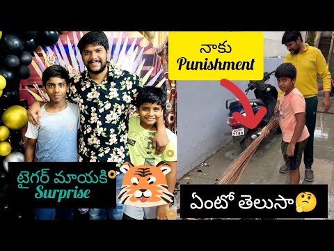 టైగర్ మాయకి Surprise🎁|నాకు punishment😫| బెలూన్ blasting🥳 #shortvideo #funnyvideo
