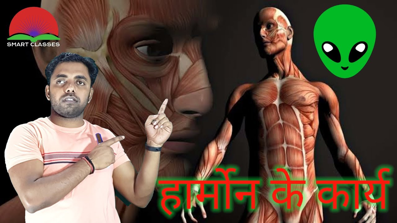 HARMONS KYA KRTE HAI HAMARE BODY ME YouTube