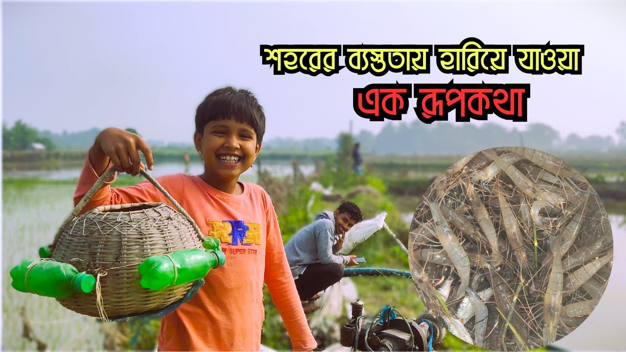 শহরের কোটি টাকায়ও মিলবে না এই শান্তি! | বিলের মাছ ধরা ও শীতের সকাল | Village Life|Explore With Ratul