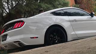 2017 Mustang Gt Straight Pipe