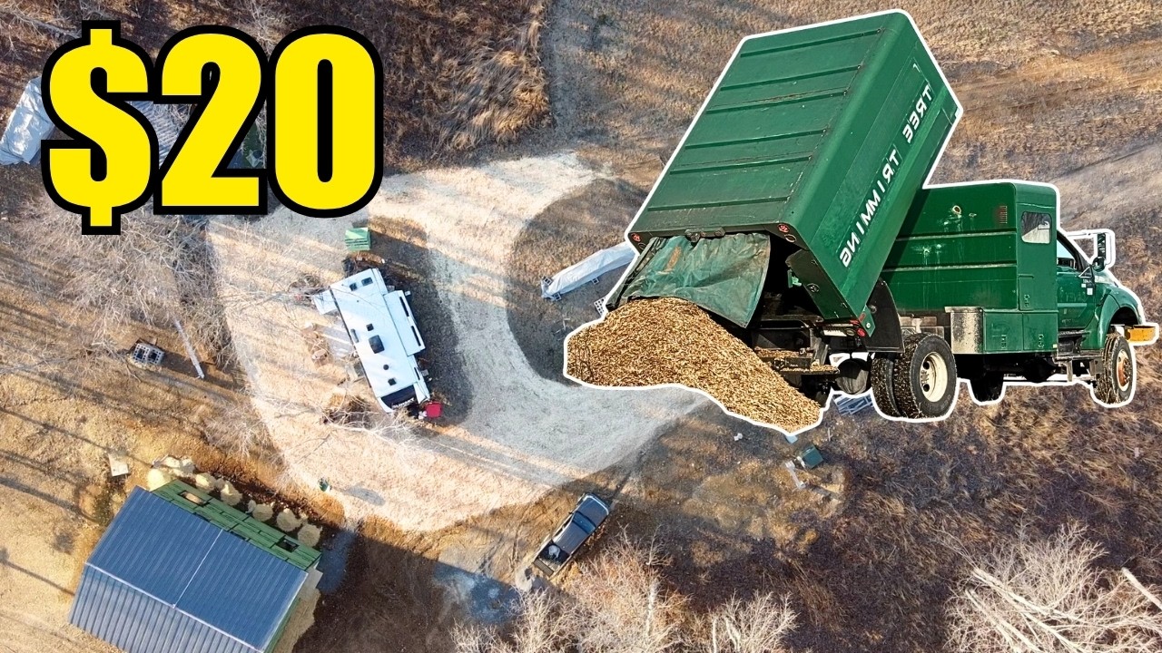 Chip Drop Raleigh Chip Drop: How I Got Nearly Free Wood Chips to End the Mud - YouTube