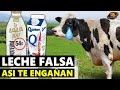 ¡ADIOS A LA LECHE REAL! Así es como te engañan algunas marcas lecheras