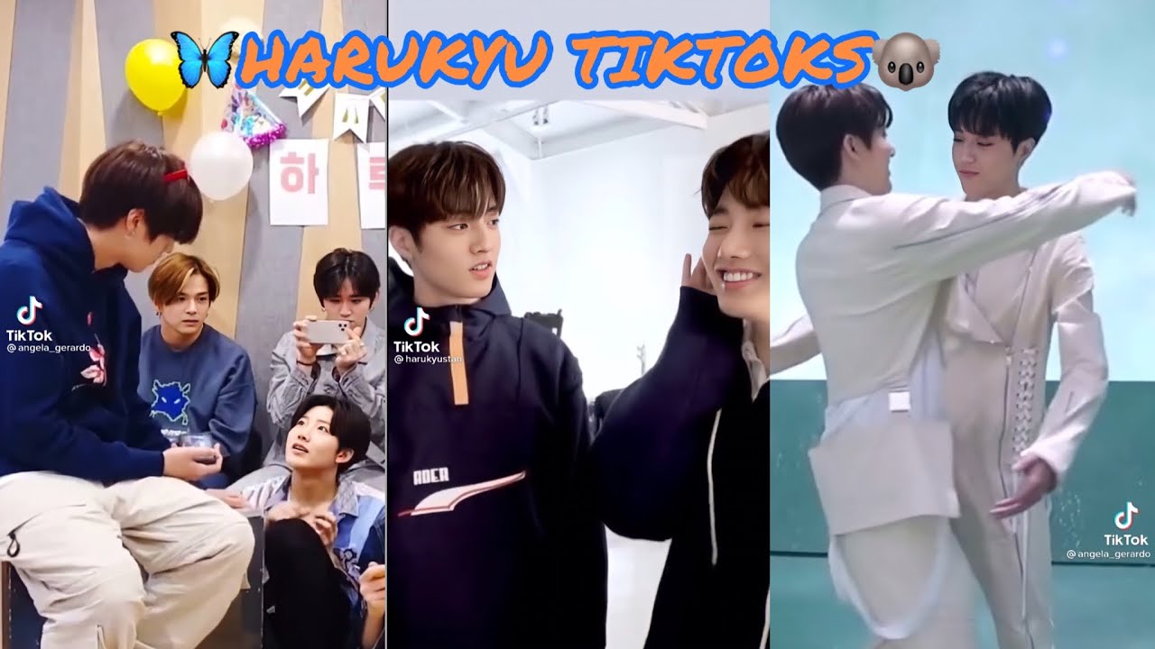 HARUKYU TIKTOK EDITS COMPILATION BECAUSE THE SHIP IS STILL SAILING ⛵️Treasure Haruto & Junkyu 🦋🐨