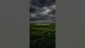 اكتب شيء تؤجر عليه ❤️🎧 #القارئ محمد المنشاوي