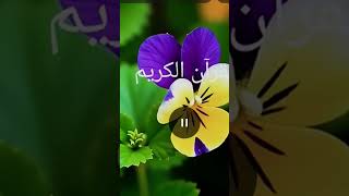 Al Quran Kareem # ❤️ ♥️ surah an naba # urdu # Translation # islamic # shorts # #youtube # channel