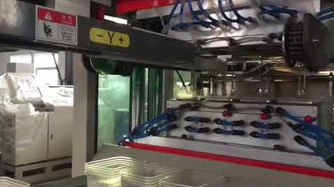 TQC-650B thermoforming machine-- 1000ml container with robot stacker