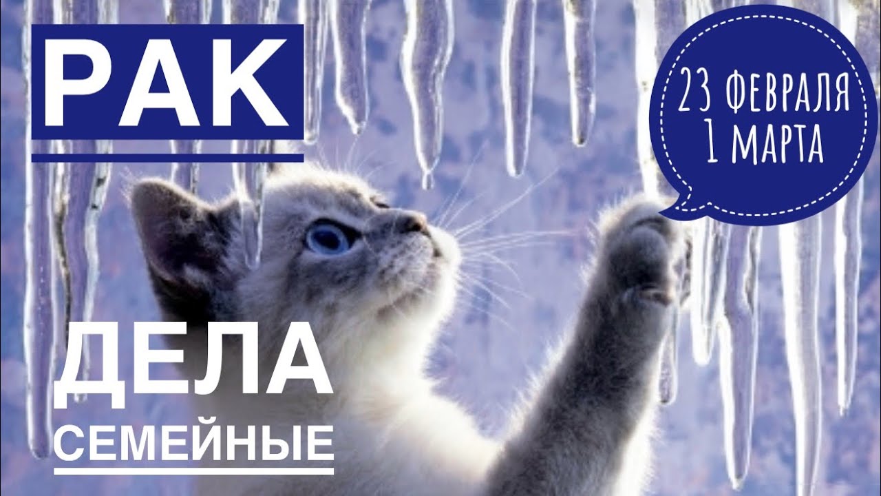 Рак ♋️ 23 февраля-1 марта 2026 🍀🔮✨🗝❤️ Таро Ленорман прогноз 