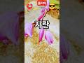 #줄리아#이용복#청낭