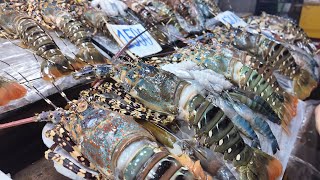 cheapest lobster  Da Nang night market , Vietnamese-style Grilled Lobster - Vietnamese Street Food 