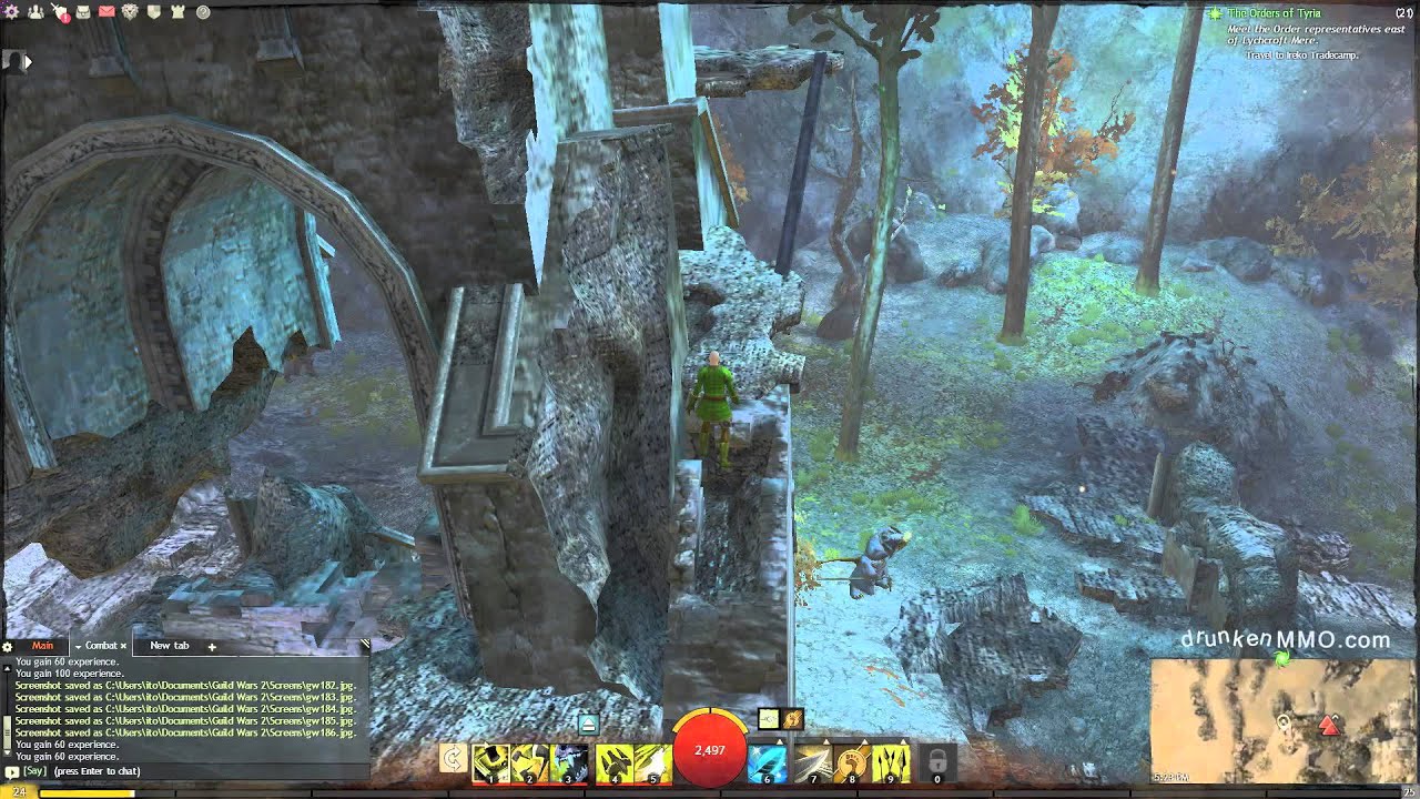 Ruins of Rin Vista Point - Guild Wars 2