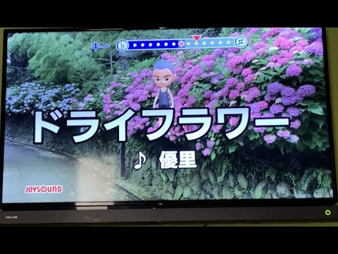 【限界チャレンジ】ドライフラワー/優里　女性キー(+2)で一般男性が歌ってみました。