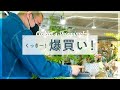 【新緑木々】くっきー！観葉植物を買いに行く！