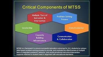 Implementation Drivers for Integrated MTSS Success