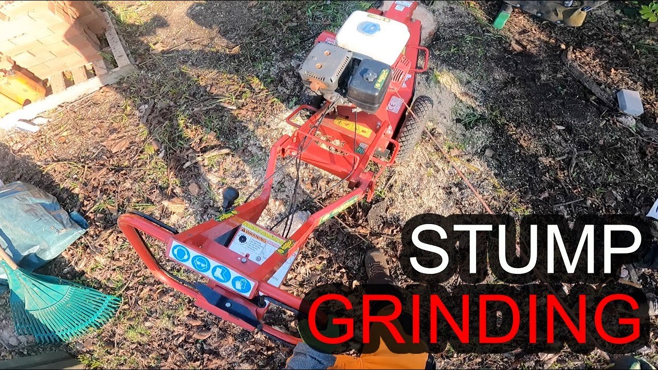 The BEST Way To Remove Your Garden Tree Stumps - YouTube