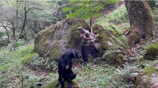 Travel to a scary valley and find a suitable shelter