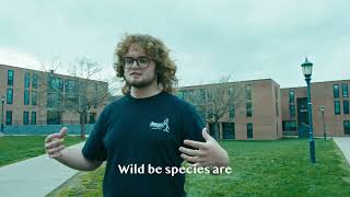 BEE The Change! | NR2100 - Environmental Communication