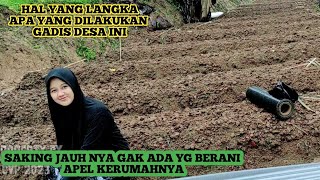 Rela Ke Ladang Walau Hujan Badai Demi Melanjutkan pendidikan || gadis Desa Sukabumi