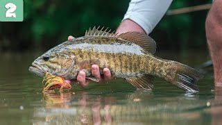 Fly Fishing for SMALLMOUTH in Alabama | BACKYARD BRONZE Ep. 2