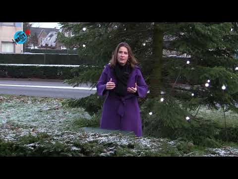 Coronatoespraak van Burgemeester van Heiloo Mascha ten Bruggencate (22 december 2021)