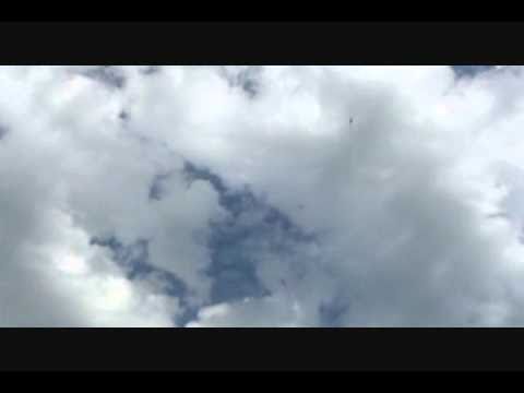 Charlie & The BEAST.wmv