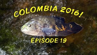 Colombia 2016! - Episode 19 - The Last Day @TedsFishroom