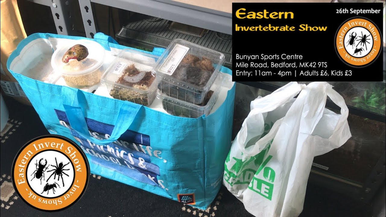 My Purchases From The Bedford Eastern Invert Show 2021