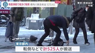 関東の大雪 路面凍結でバスが住宅に衝突 転倒・スリップ相次ぎ５２５人搬送