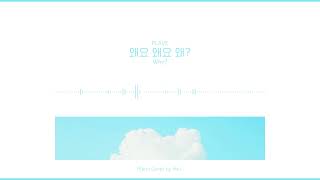 Why? - PLAVE