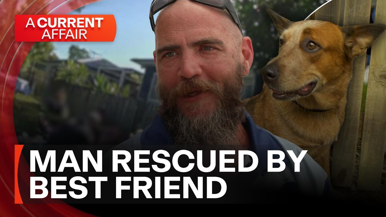 How this man's dog saved his life | A Current Affair