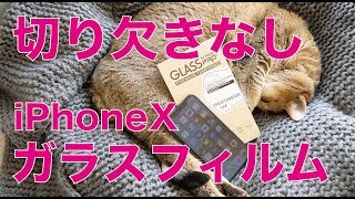 iPhoneX用で切り欠きなしのガラスフィルムを貼ってみた：WARMQコレ良い！